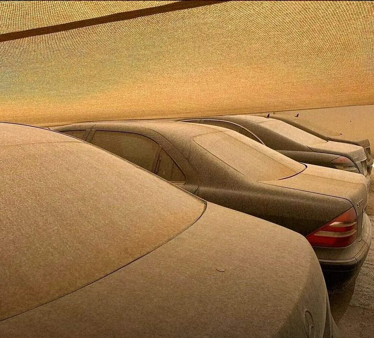 کشف قبرستان بزرگ خودروهای لاکچری مرسدس بنز + تصاویر