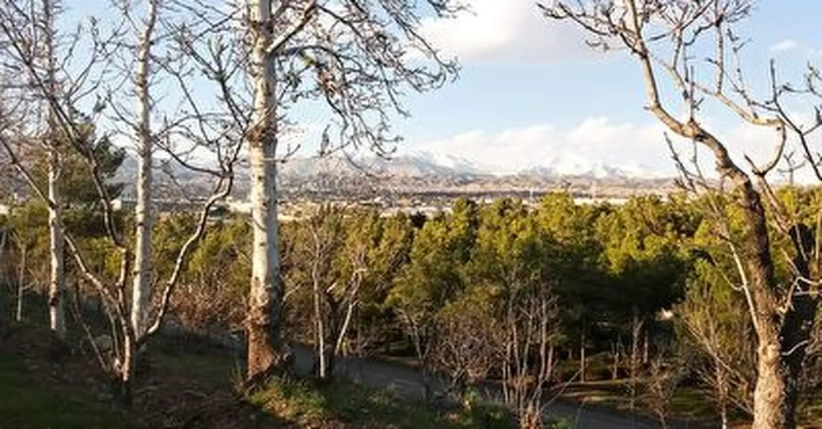 حیات‌وحش شگفت انگیز پارک ملی سرخه‌حصار و خجیر+ فیلم