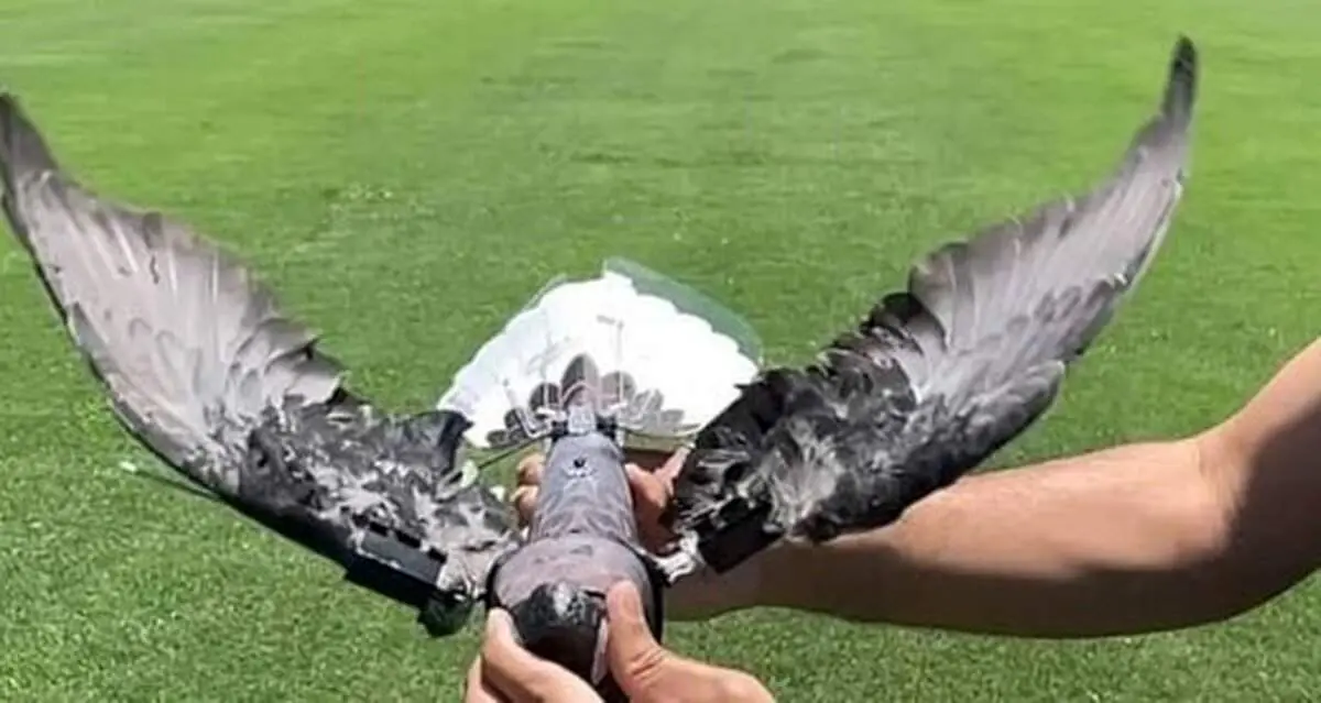 پهباد عجیب نظامی و جاسوسی که دانشمند ایرانی ساخت! + عکس