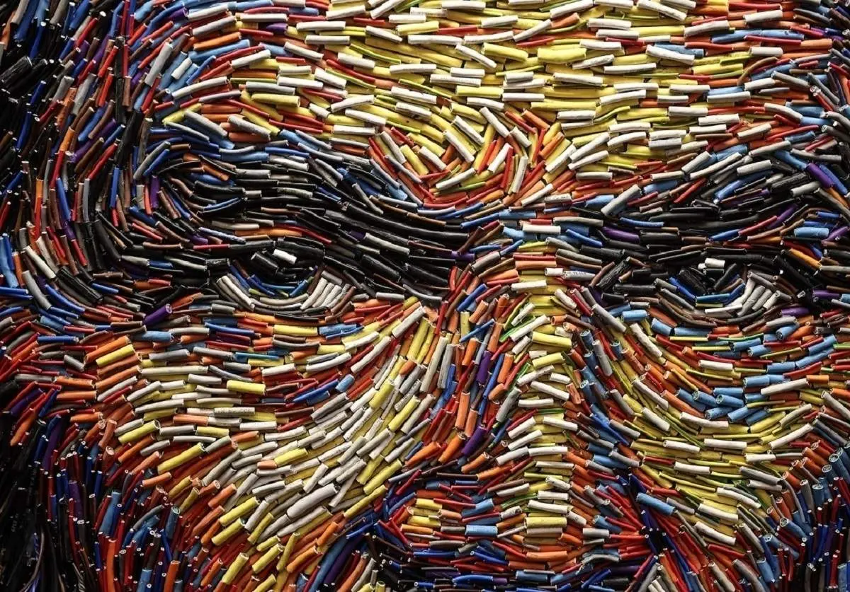 خلق آثار هنری حیرت انگیز با زباله! + فیلم