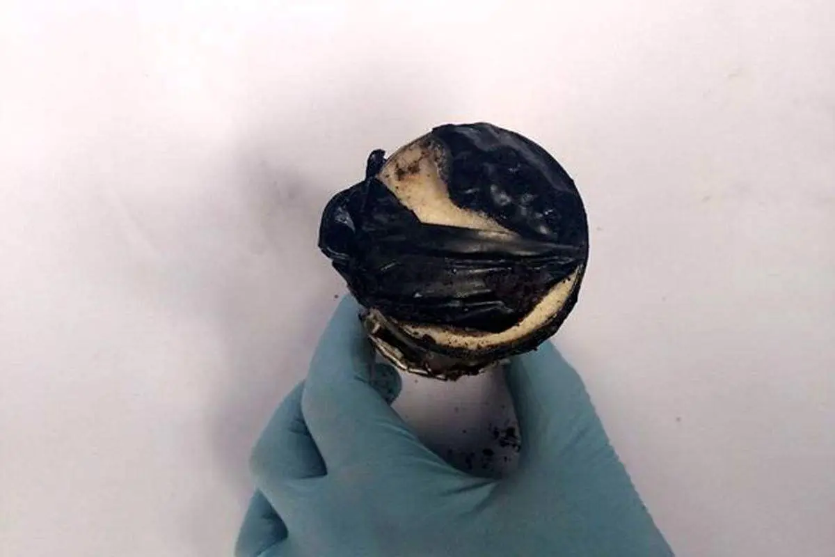 استفاده ارتش اوکراین از یک سلاح مخوف و مرگبار علیه سرباران روس + عکس