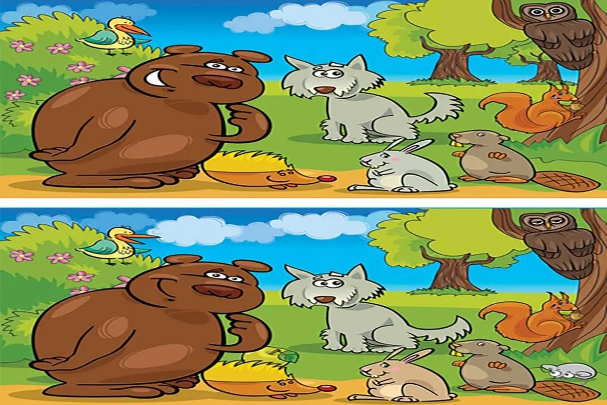 اختلاف تصاویر را پیدا کنید!