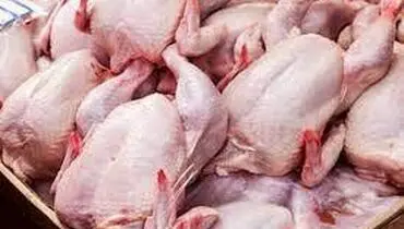 قیمت امروز مرغ ۱ اسفند ۱۴۰۱