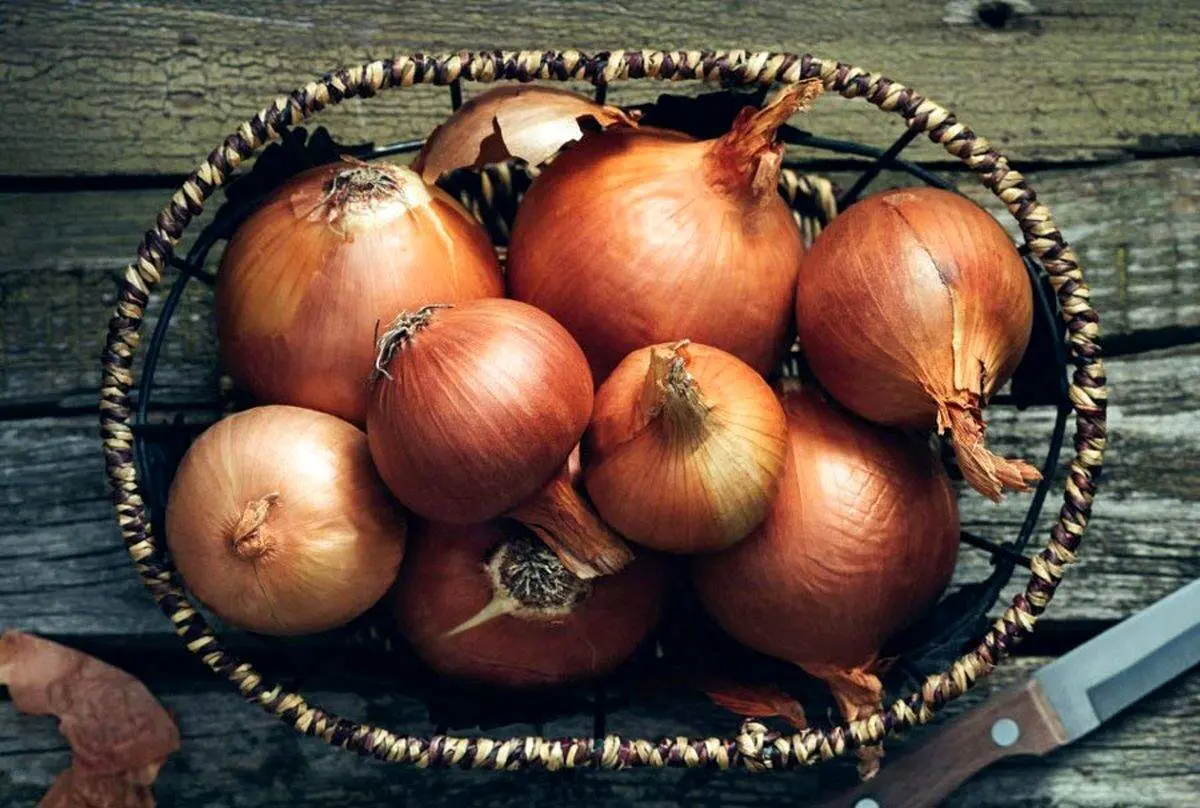 سبزی مفیدی که دشمن کبد چرب است