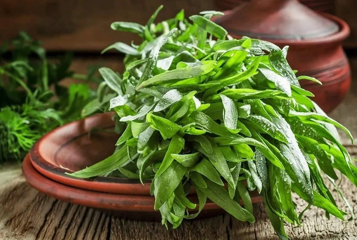 معجزه این سبزی برای دیابتی ها