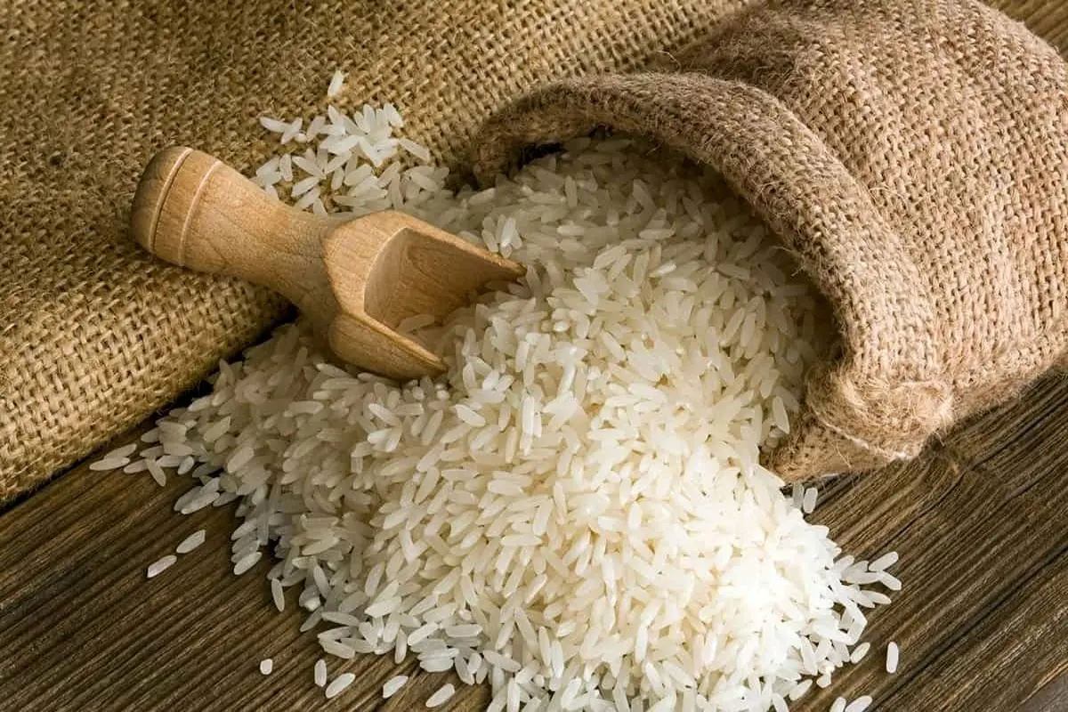 قیمت جدید انواع برنج ایرانی