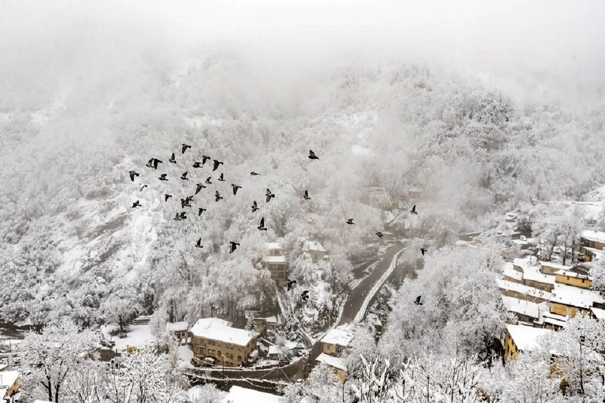 تصاویر زیبایی از بارش برف در ارتفاعات ساری