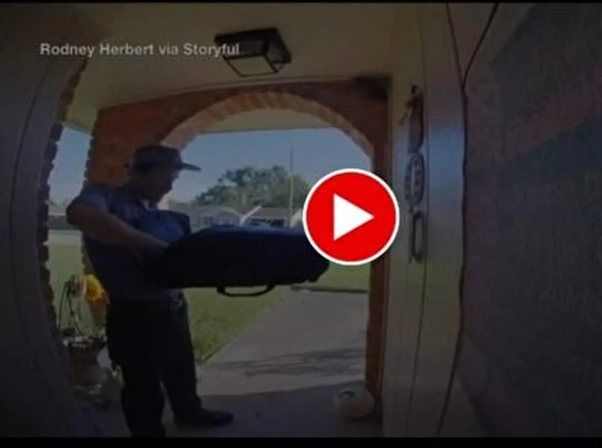 حمله یک سنجاب به پیک غذا برای خوردن پیتزا+ فیلم