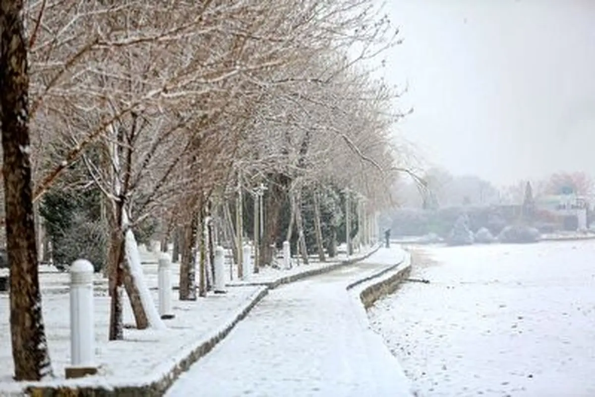 ویدئویی از بارش شدید برف در تهران