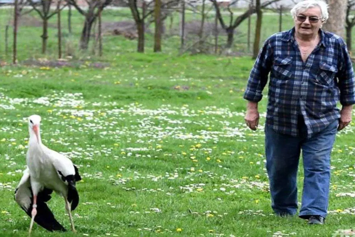 لک لک های عاشقی که قوانین لبنان راعوض کردند! + عکس