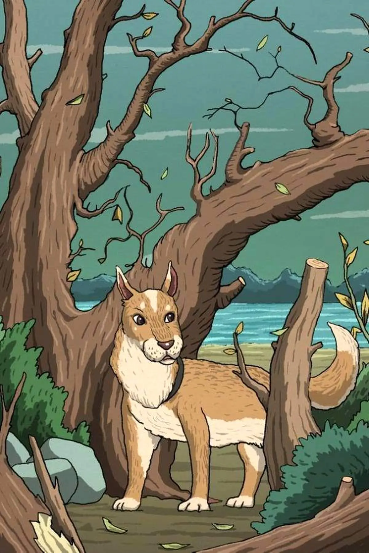 گربه پنهان شده در تصویر زیر را پیدا کنید+ عکس