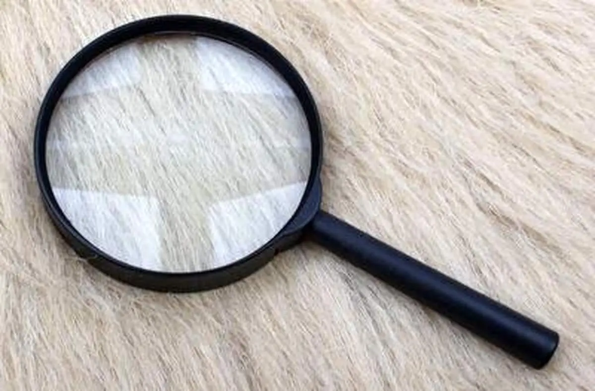 نقاشی باورنکردنی هنرمندی خلاق با استفاده از ذره بین!+ فیلم