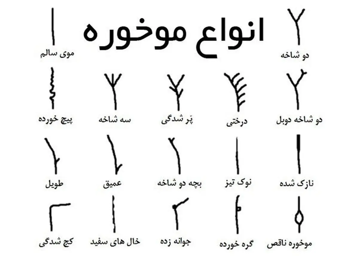 بهترین درمان موخوره چیست؟