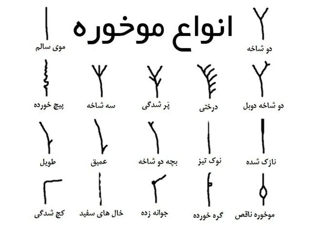 بهترین درمان موخوره چیست؟