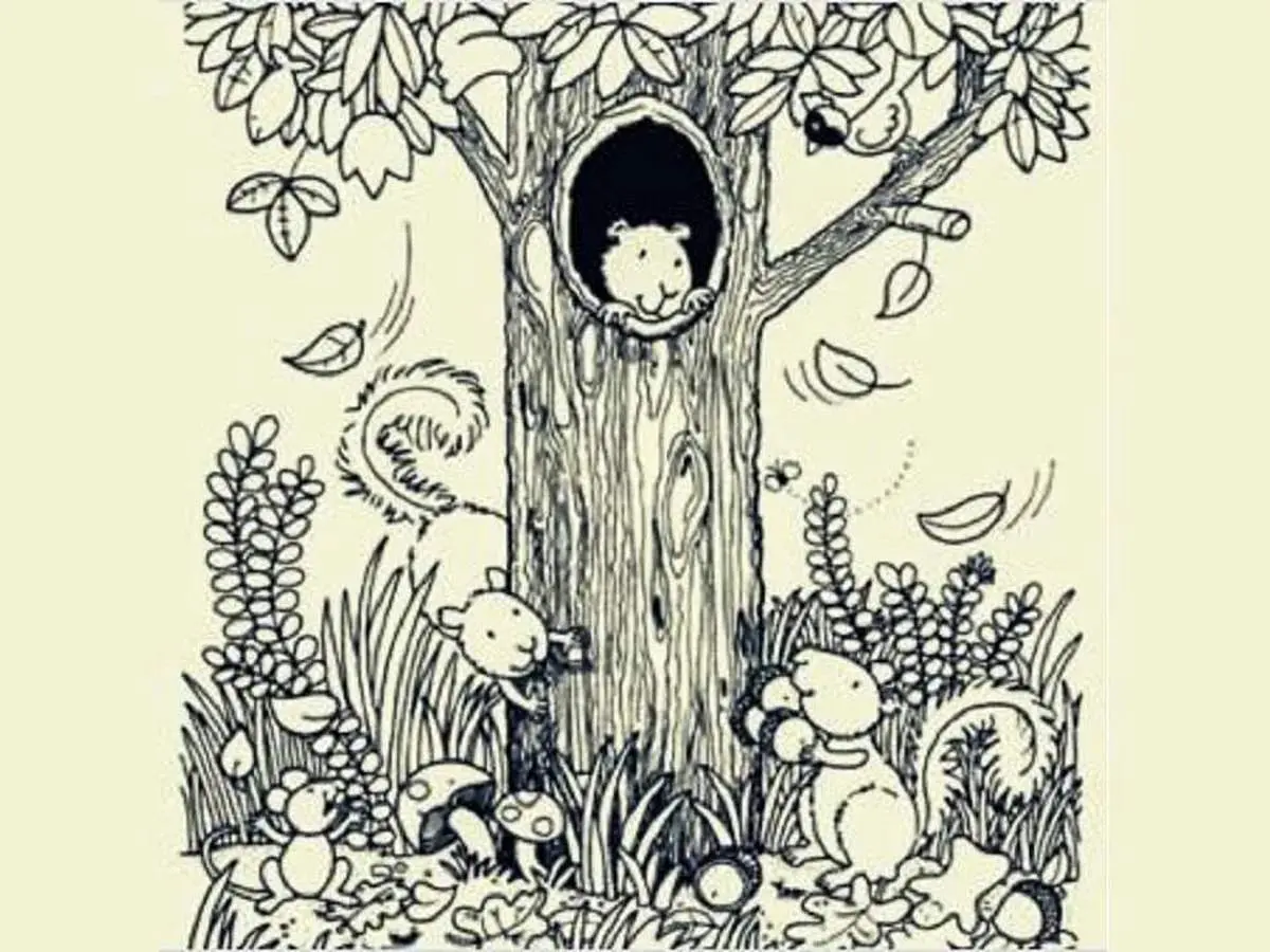 اشیاء مخفی را پیدا کنید!