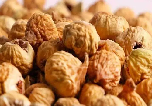 چند راز ساده برای لاغری سریع