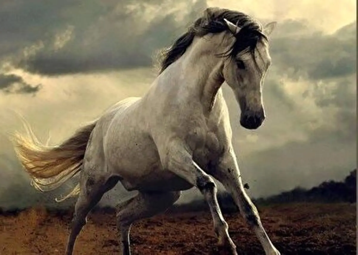 ویدیویی جنجالی از حیوان‌آزاری دردناک یک اسب + فیلم