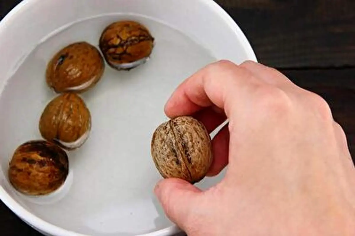 ترفند پوست کندن گردو+ فیلم