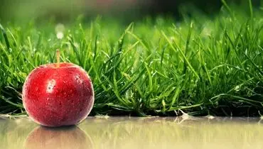 آموزش تهیه سبزه سیب برای عید