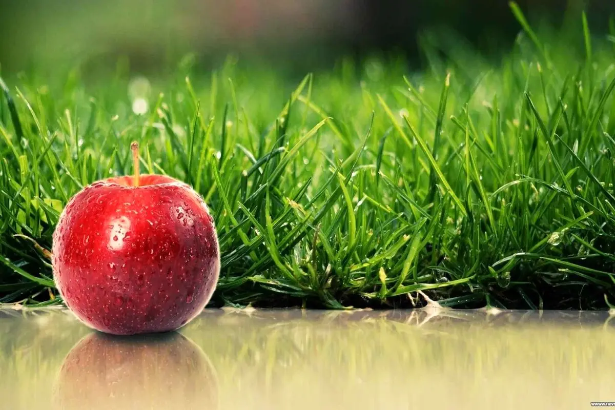 آموزش تهیه سبزه سیب برای عید
