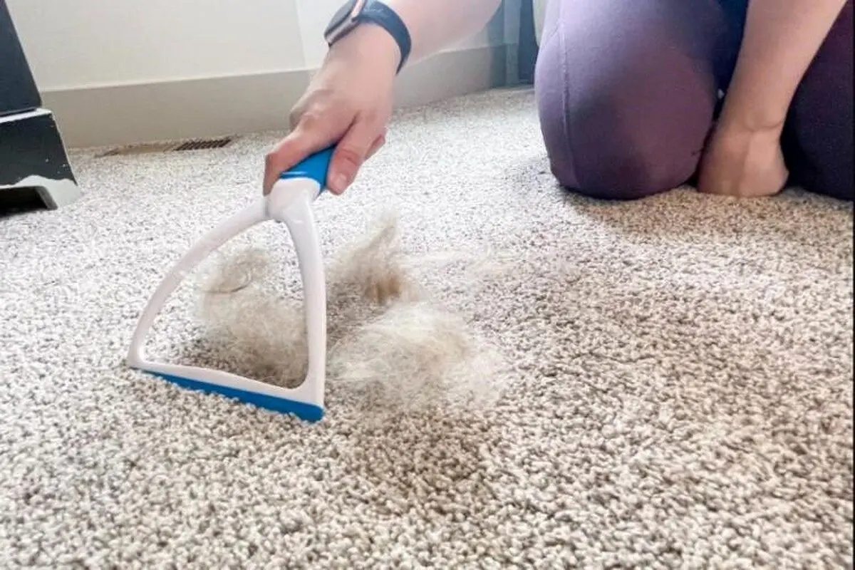 برای جمع کردن مو از روی فرش چه کنیم؟