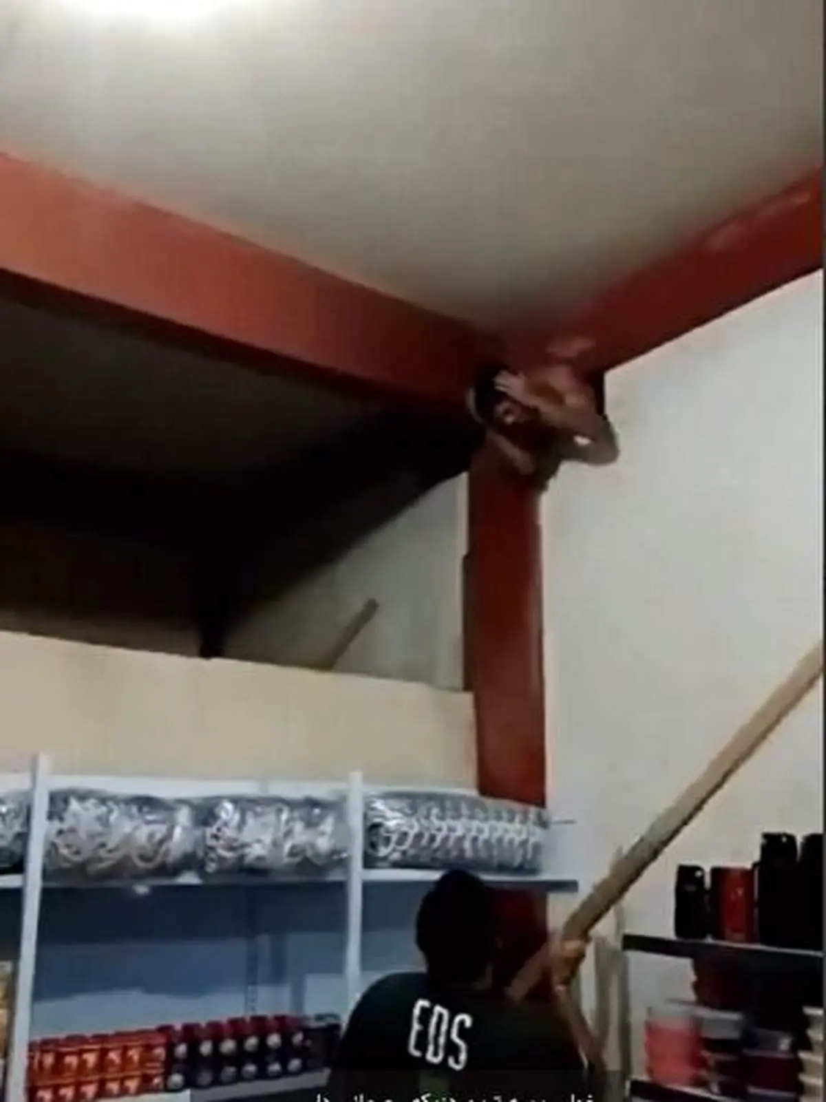 لحظه به دام افتادن دزد نگون بخت+ فیلم