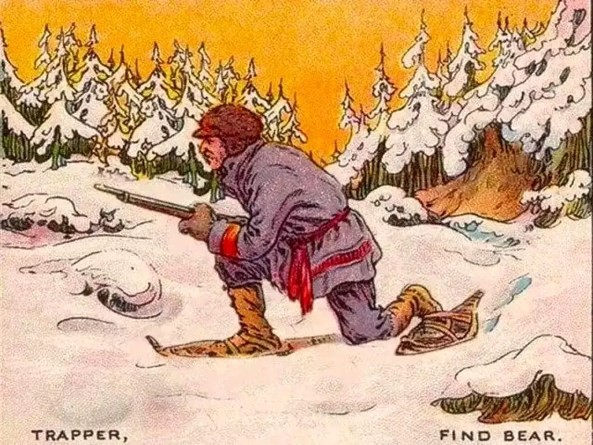 خرس پنهان شده در تصویر را پیدا کنید!