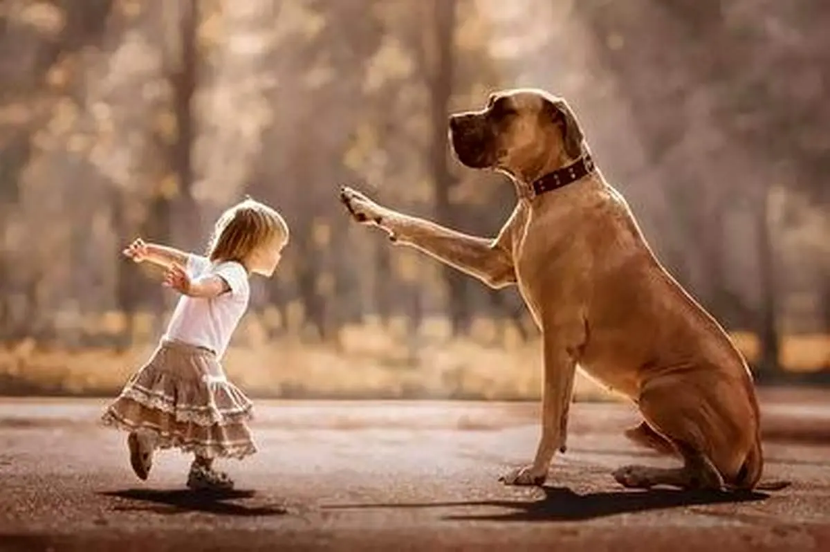 رفتار عجیب سگ برای محافظت از کودک+ فیلم