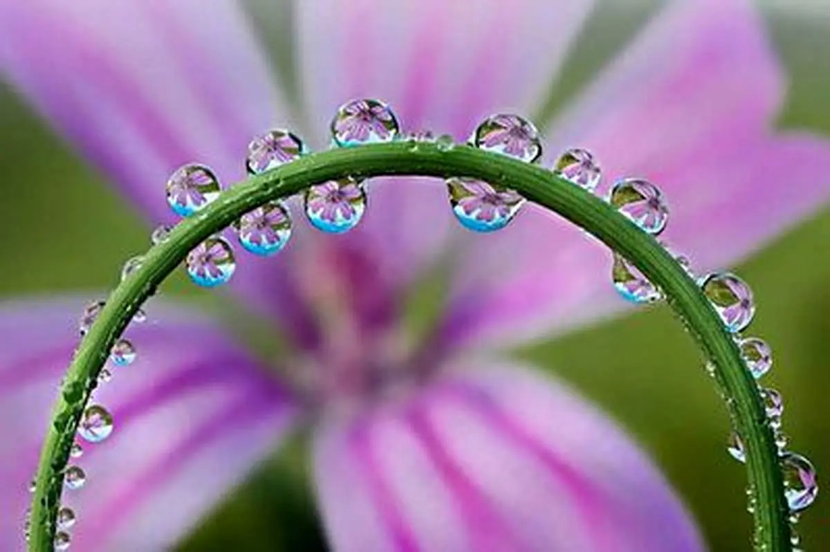 ایده جالب برای عکس گرفتن+ فیلم