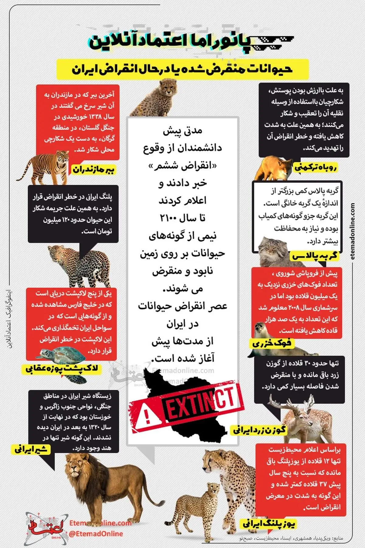 این حیوانات ایرانی منقرض شده اند+ اینفوگرافیک