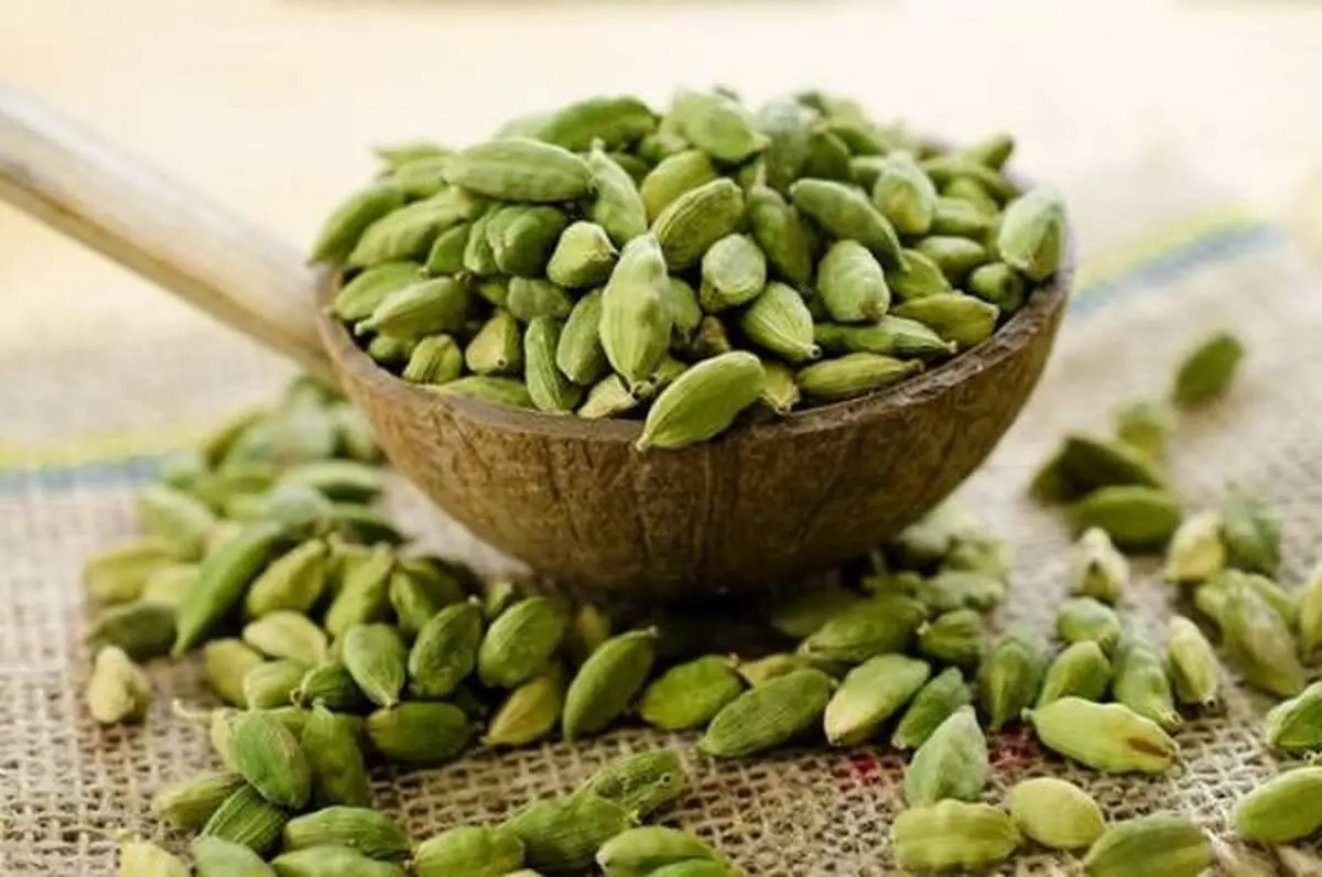 لاغرها هل بخورند، چاق ها نخورند!