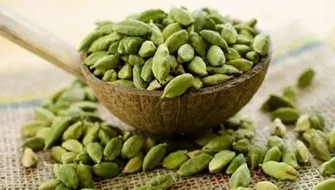 لاغرها هل بخورند، چاق ها نخورند!