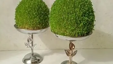 آموزش کاشت سبزه تخم شربتی برای عید+ فیلم