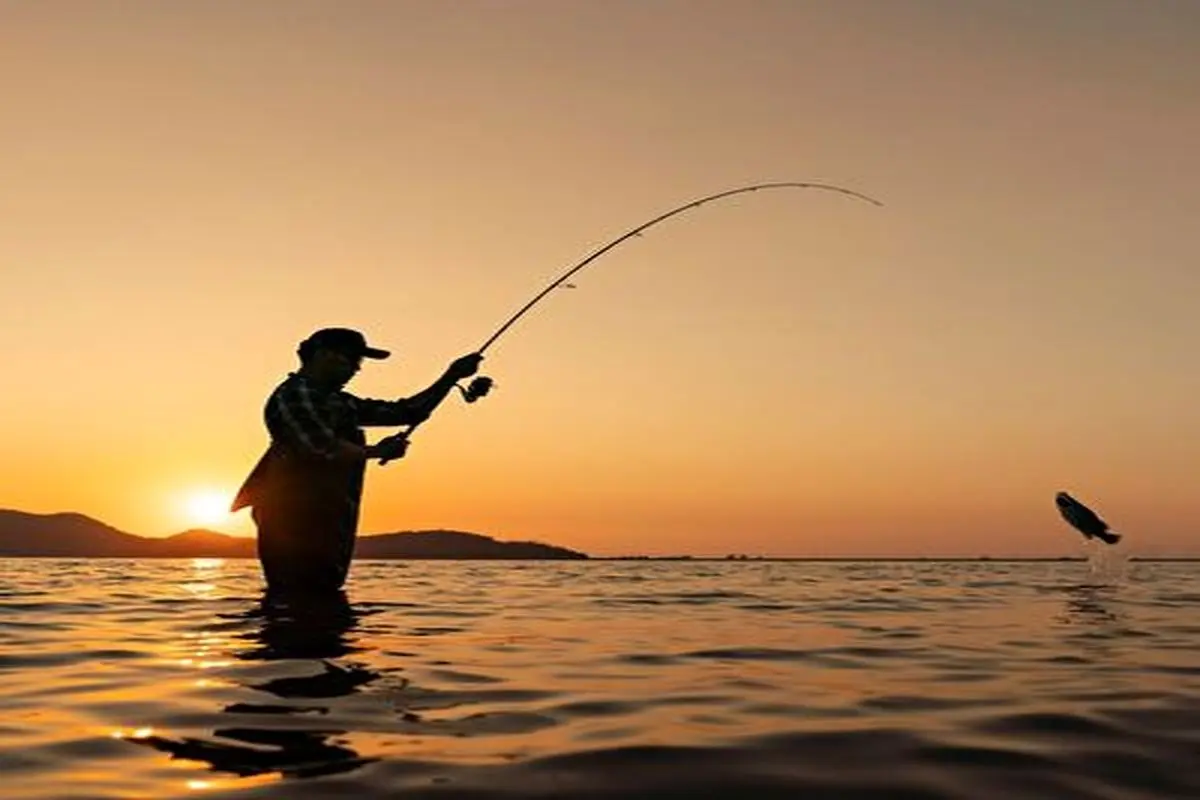 روش جالب ماهیگیری با دست خالی+ فیلم