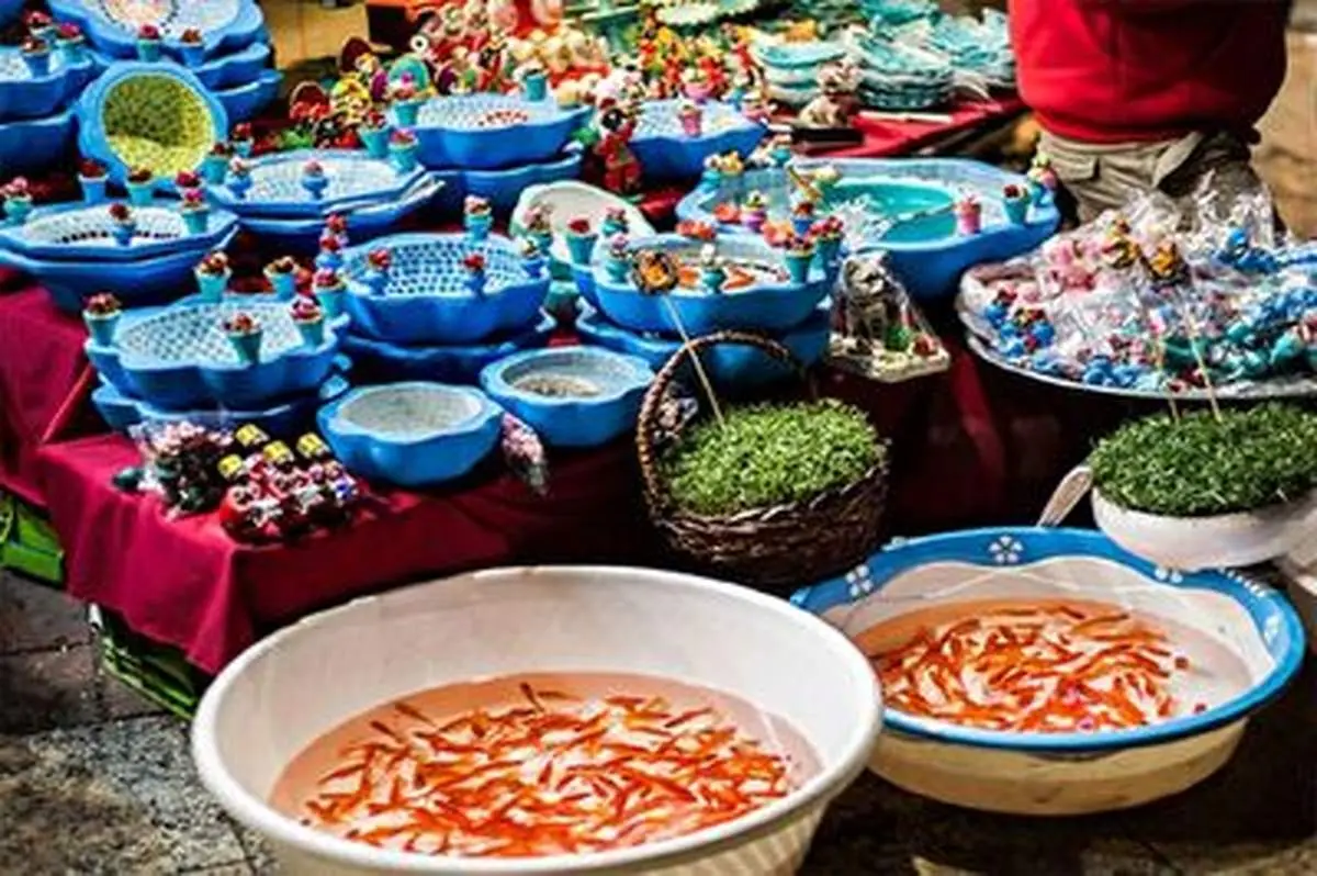 کاروان های شادی تهران در میدان تجریش + فیلم