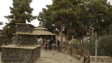 پارک جنگلی سرخه‌حصار تهران؛ زیستگاه افعی‌ شاخدار تا مار پلنگی+ عکس