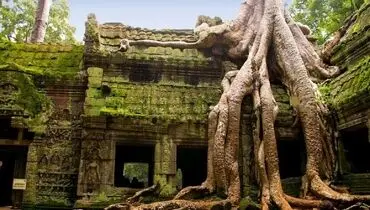 یک معبد عجیب در هند+ عکس
