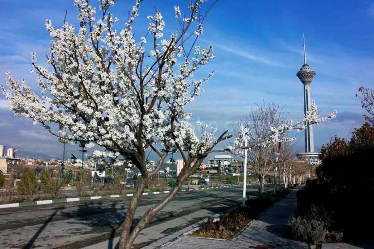 افزایش ۸ درجه‌ای دمای تهران طی فردا