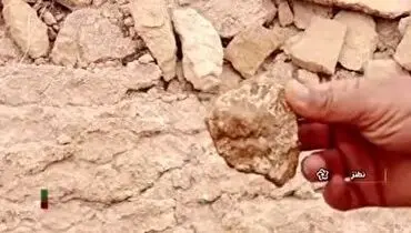کشف فسیل‌های ۴۰ میلیون ساله در نطنز+ فیلم