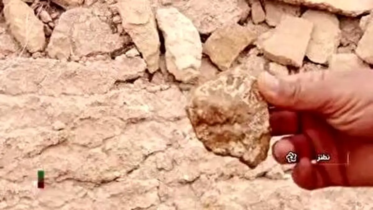 کشف فسیل‌های ۴۰ میلیون ساله در نطنز+ فیلم