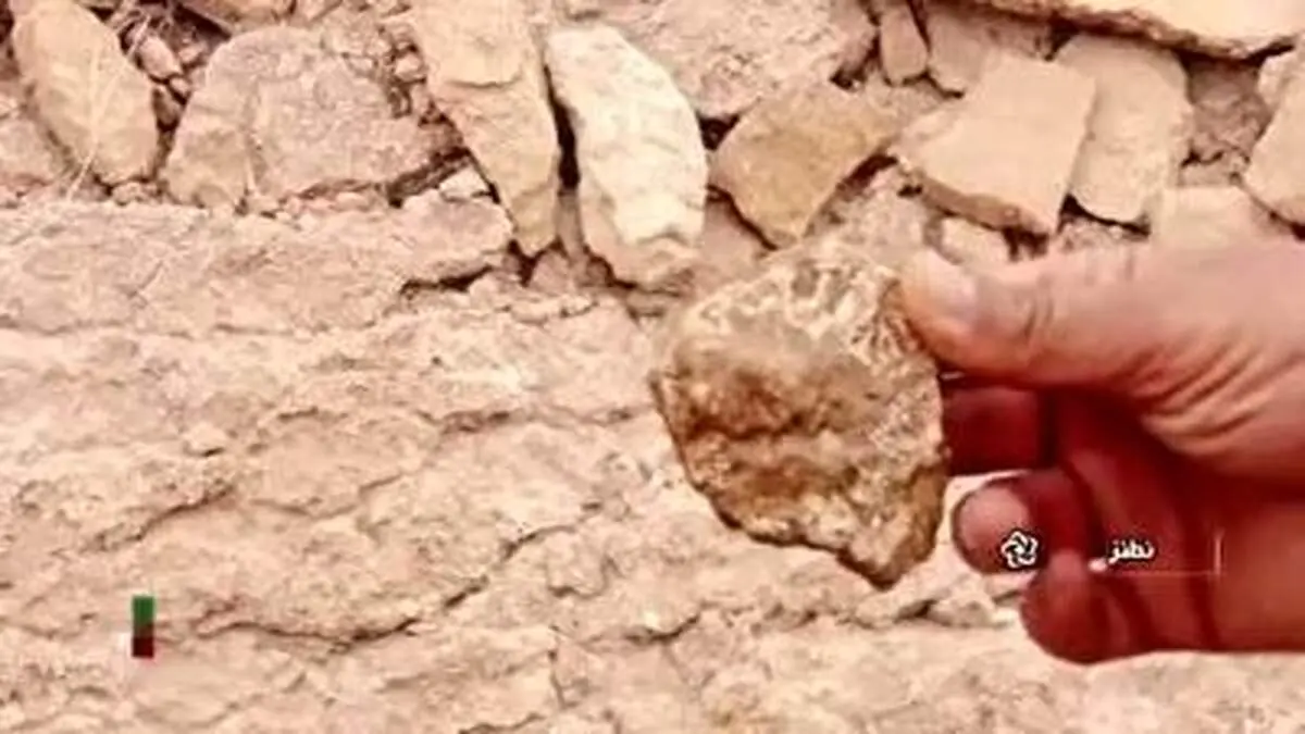 کشف فسیل‌های ۴۰ میلیون ساله در نطنز+ فیلم