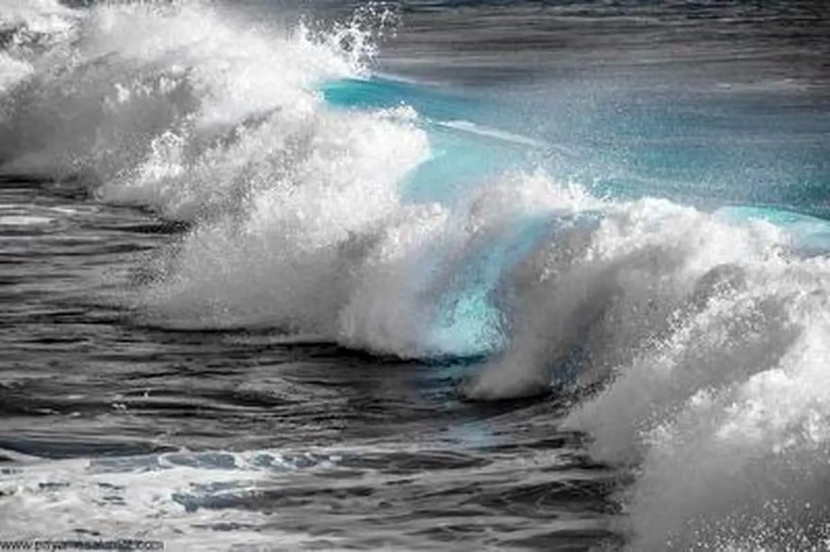 تست شخصیتی برای مشخص شدن وحشت از آب + فیلم