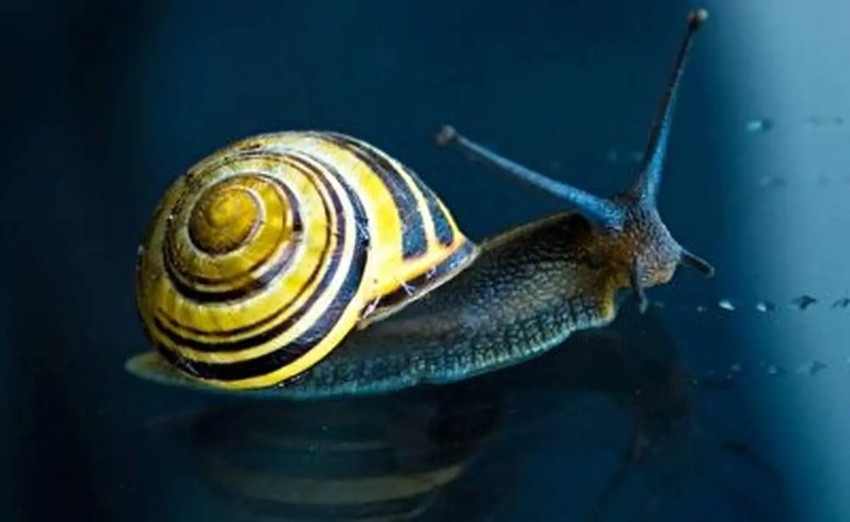 حقایق جالب و دیدنی جدید از جهان + فیلم