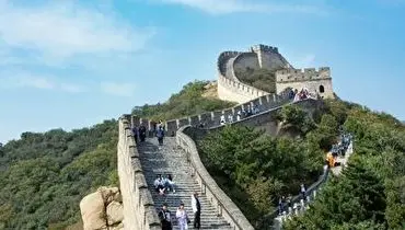 پروژه شگفت انگیز تبدیل بیابان به جنگل در چین+ فیلم