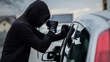 روش جدید دزدان برای سرقت 206 + فیلم
