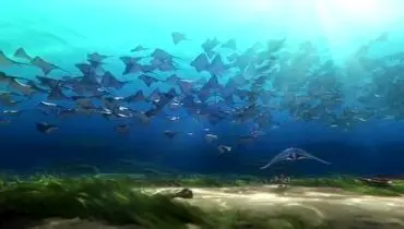 تصویری از یک ماهی عجیب در اعماق اقیانوس+ فیلم