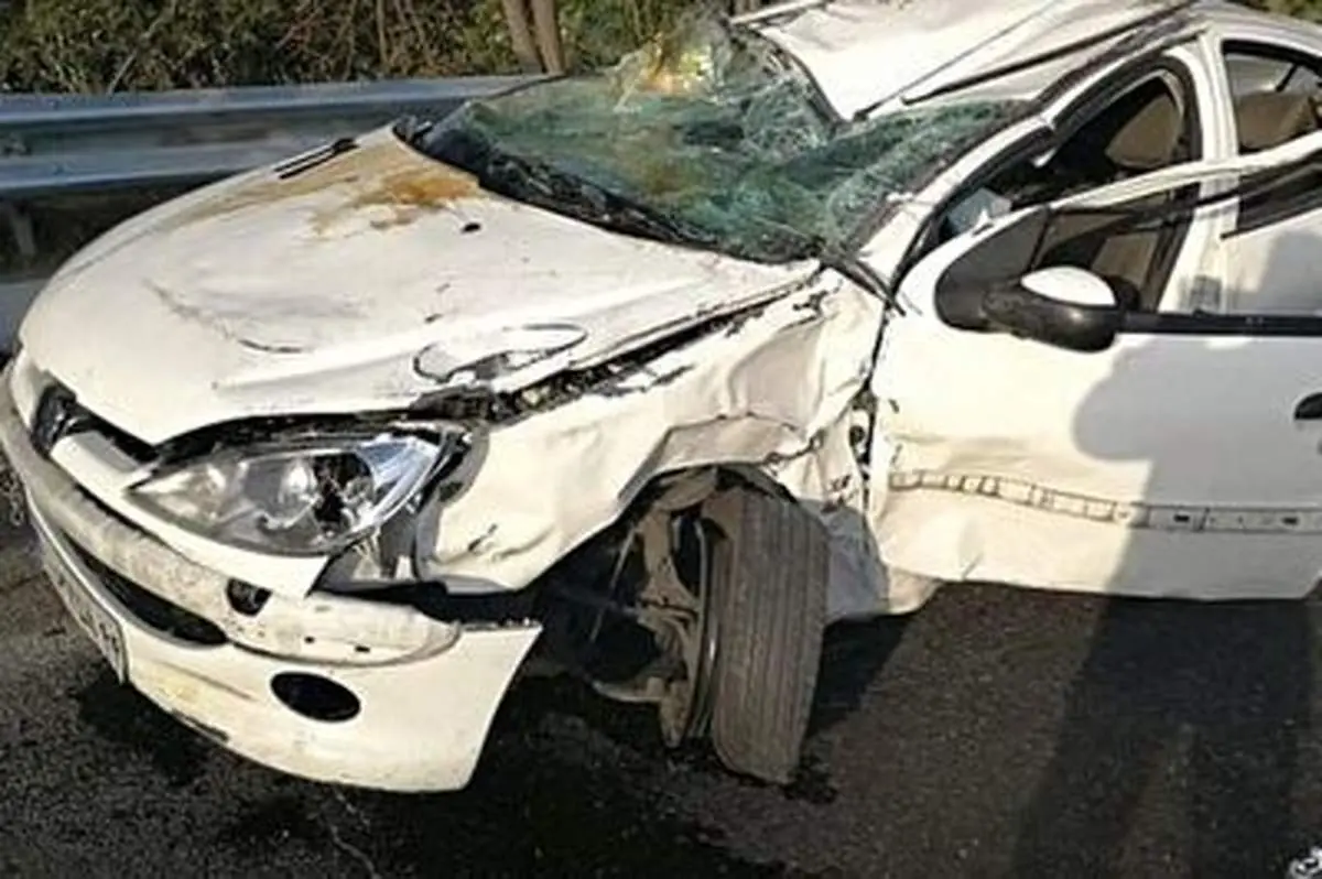 حرکت دیوانه‌وار راننده ۲۰۶ حادثه آفرید+ فیلم