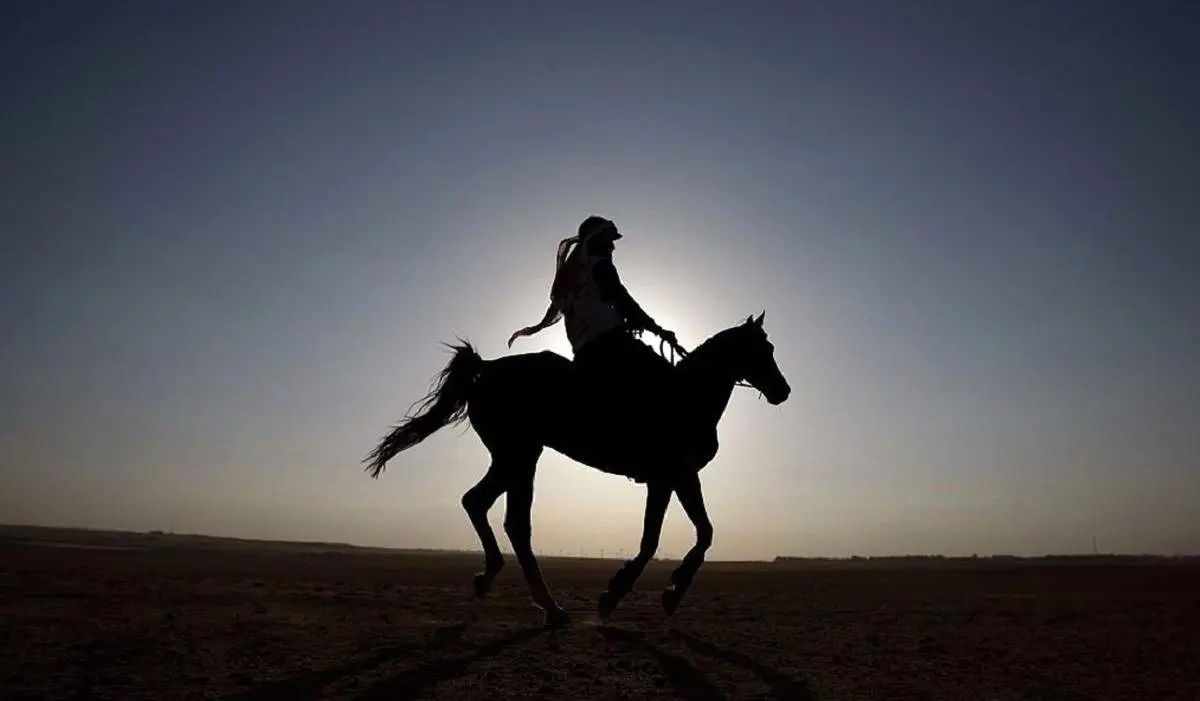 قدیمی‌ترین شواهد از اسب‌سواری در جهان کشف شد