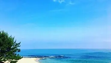 مشاهده دو جانور دریایی عجیب در سواحل ژاپن! + فیلم