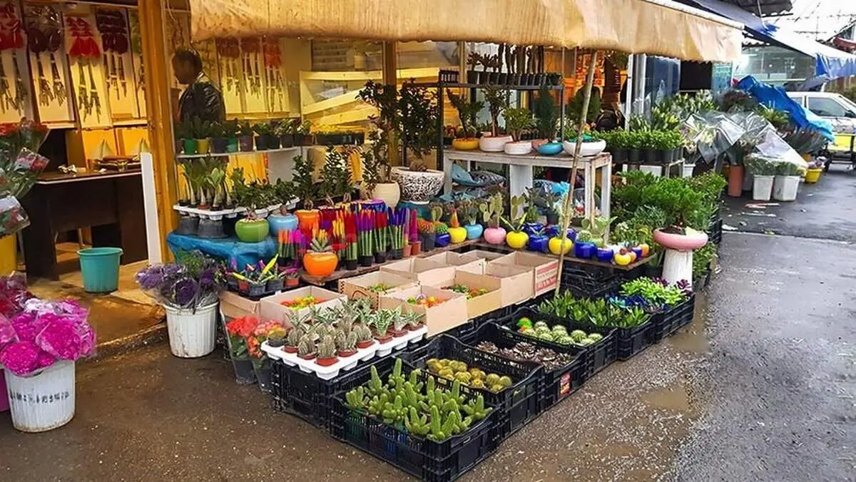 برای خرید گل در تهران کجا بریم؟